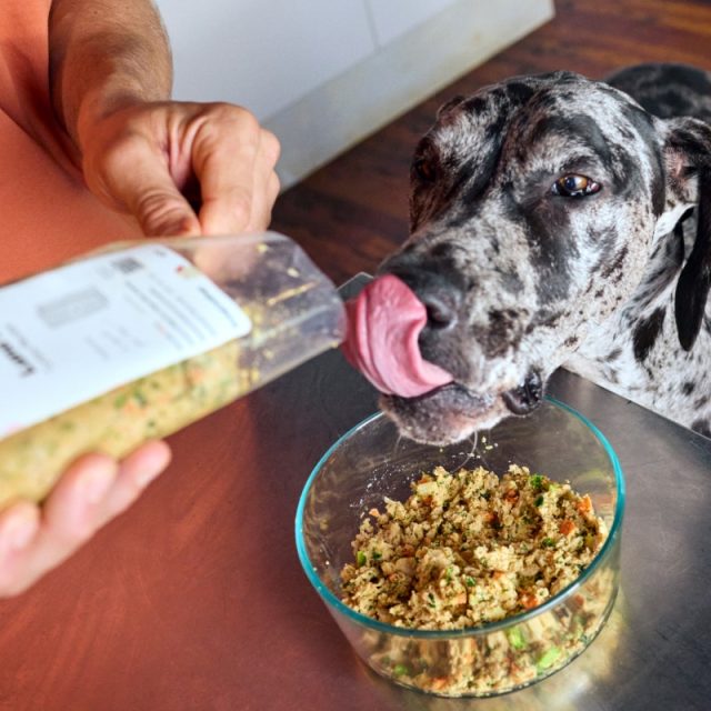 A Great Dane licking his lips as a person serves The Farmer's Dog fresh dog food in a glass bowl