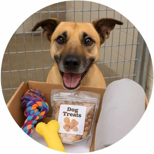 Care Packs for Shelter Dogs Products
