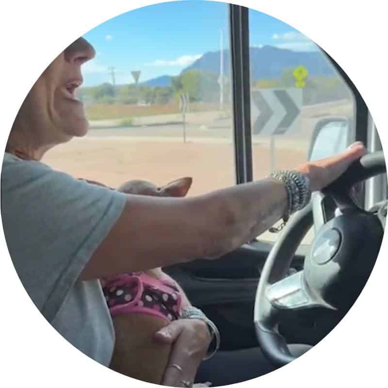 Rescue Roadtrips Products