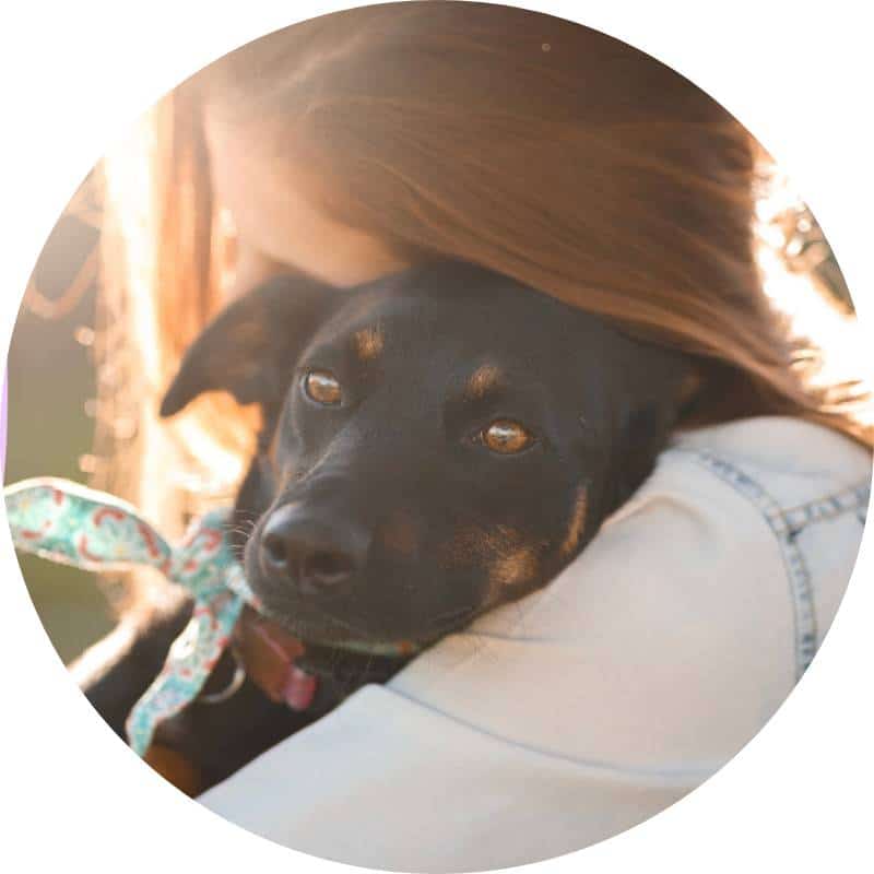 Domestic Violence Survivors Products