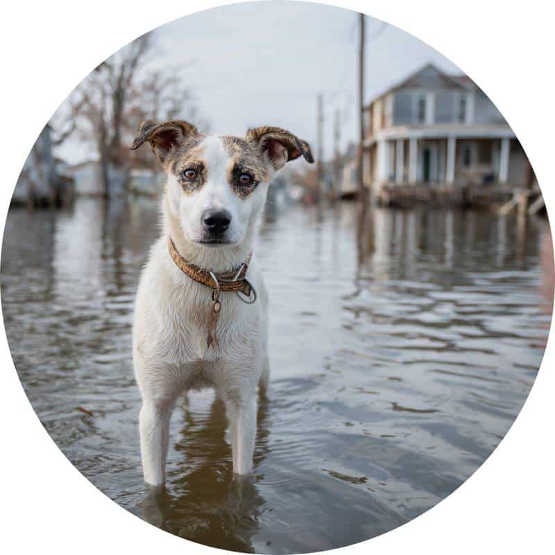 Donate Where Needed Most Products