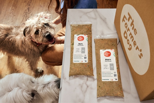 Two dogs gaze at two packages of The Farmer's Dog fresh dog food next to a delivery box with the company logo