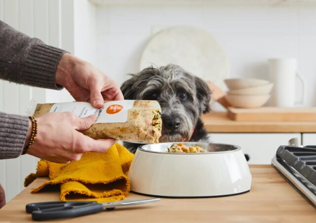best puppy dog foods