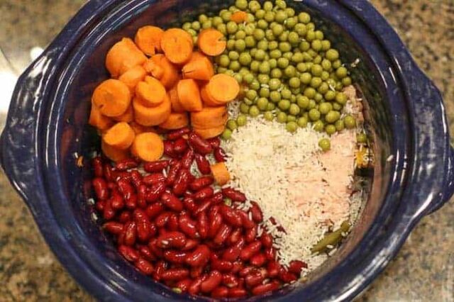 Homemade chicken dog food in crockpot
