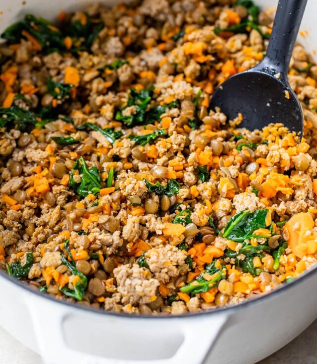 Homemade dog food with chicken