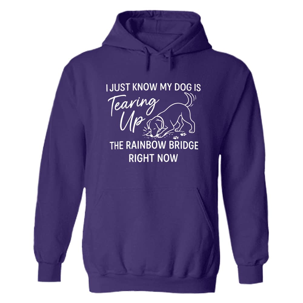 I Just Know My Dog Is Tearing Up The Rainbow Bridge Right Now Hoodie Purple