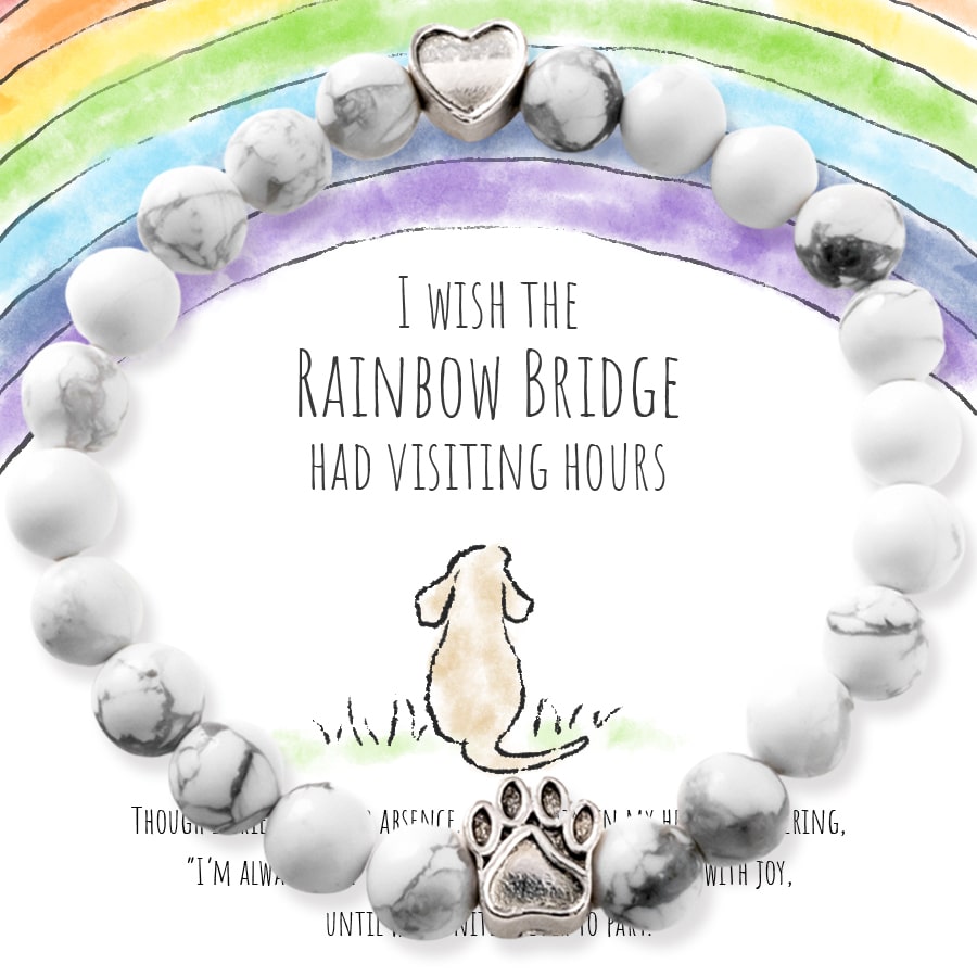"I Wish the Rainbow Bridge Had Visiting Hours" Bracelet- Feeds 22 Shelter Dogs in Honor of Your Beloved Pup