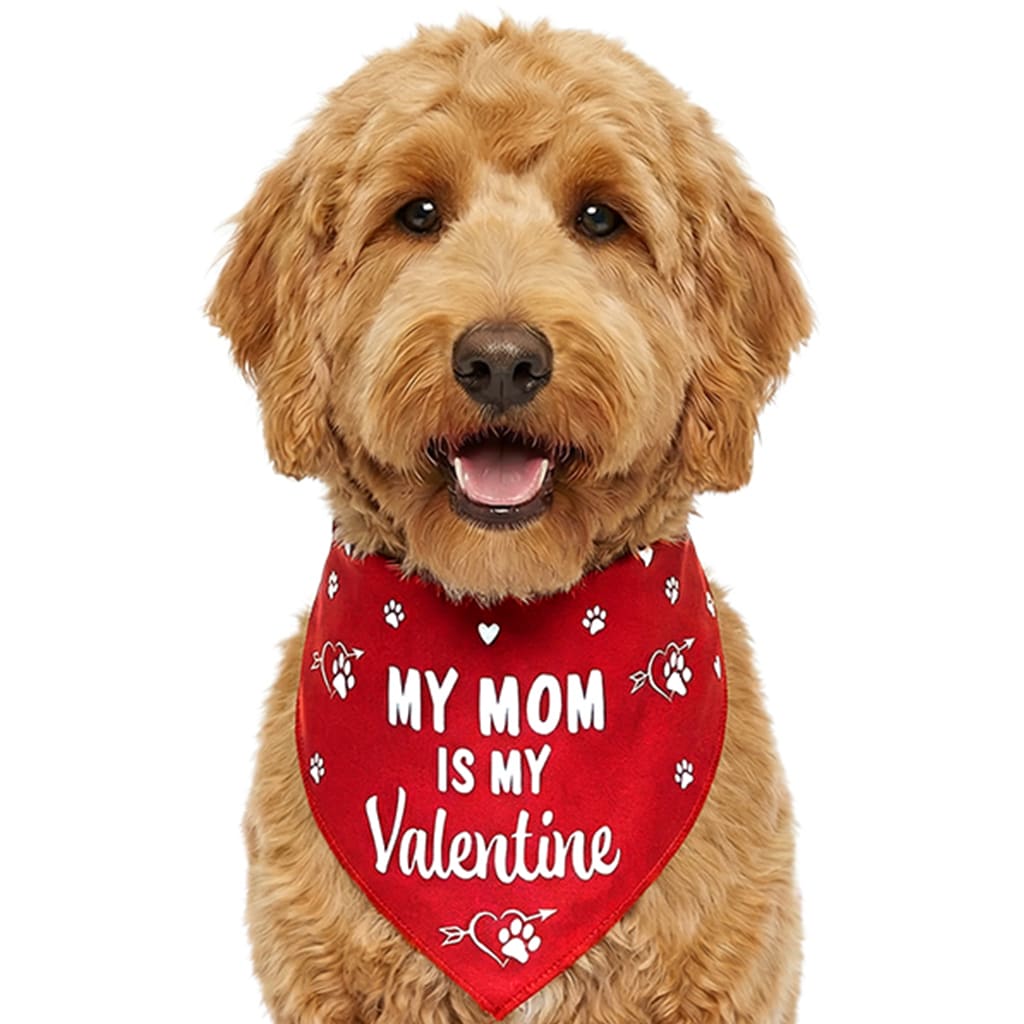 My Mom Is My Valentine Dog Bandana (Large ONLY) - Helps Feed Hungry Shelter Dogs