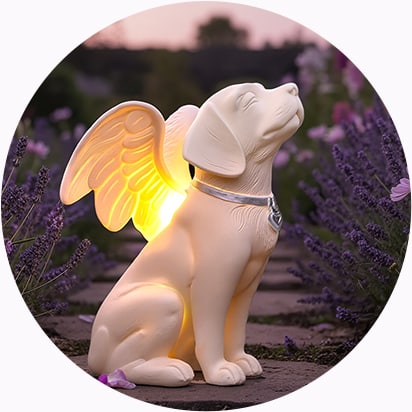 Shop All Garden Products