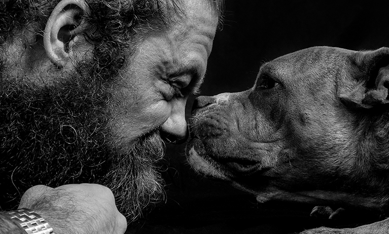 social_impact_pets_and_vets