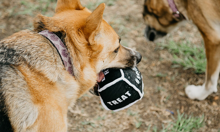 social_impact_project_play