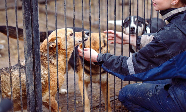 social_impact_rescue_rebuild