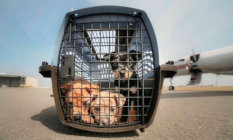 social_impact_second_chance_movement