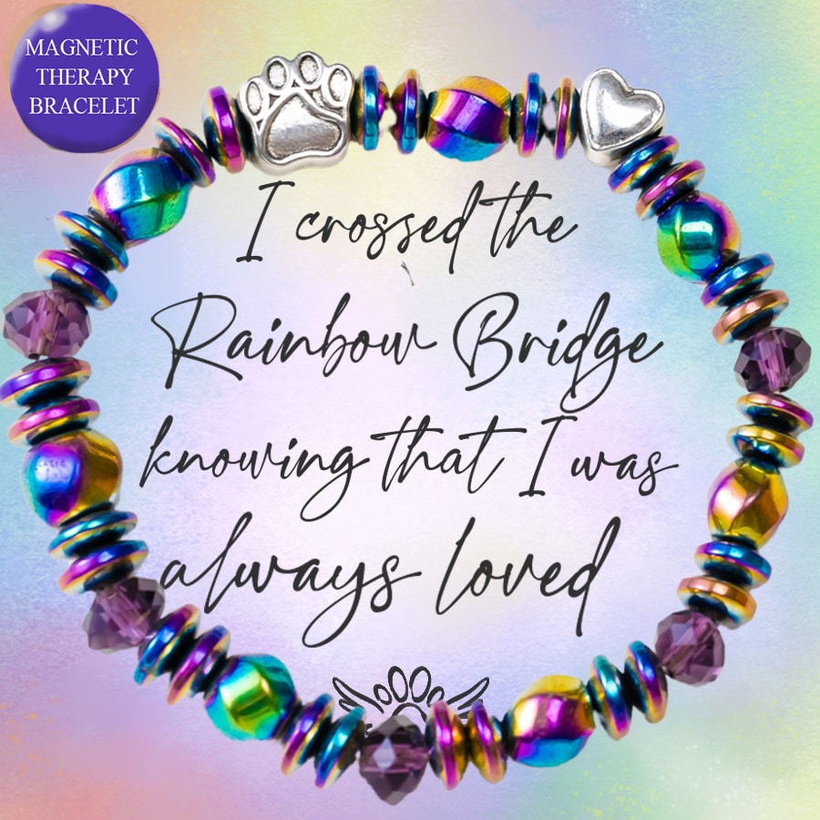 “Rainbow Bridge Wing Always Loved”  Treasured Memories Memorial Magnetic Therapy Bracelet