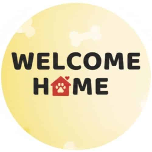 Have a New Dog at Home? Products