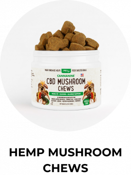 CBD Mushroom Chews