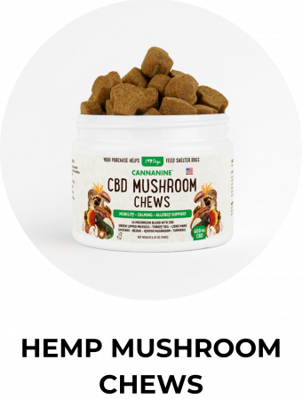CBD Mushroom Chews CBD Mushroom Chews