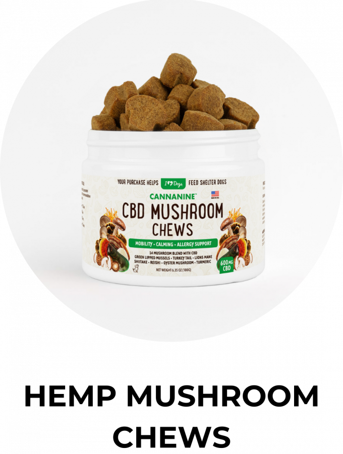 CBD Mushroom Chews CBD Mushroom Chews