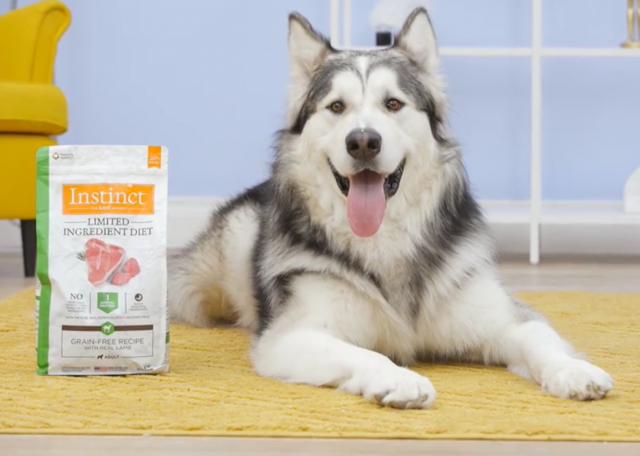 Dog with Instinct Limited Ingredient food