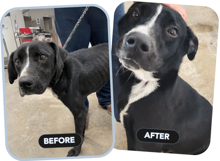 Group 48098577 Group 48098577