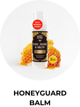 honeyguard_balm