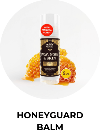 honeyguard_balm honeyguard_balm