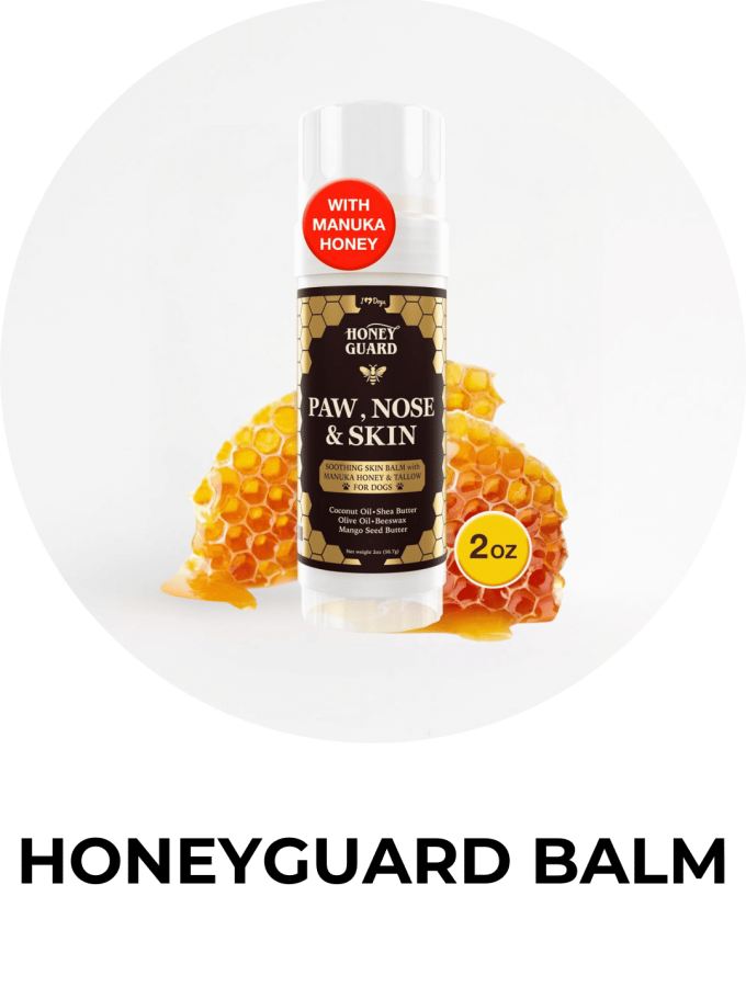 Omega 369 (2) Omega 369 (2)