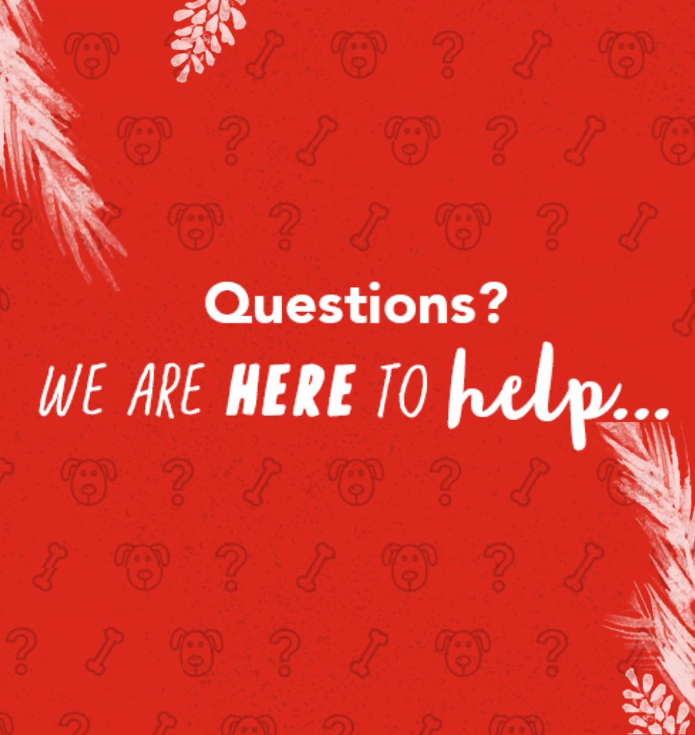 Questions We are here to help! (3)