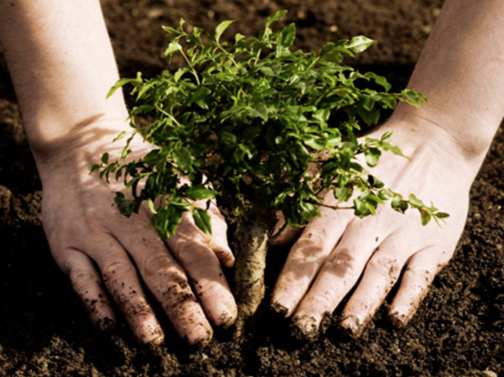 Screen Shot 2016-02-01 at 2.11.59 PM