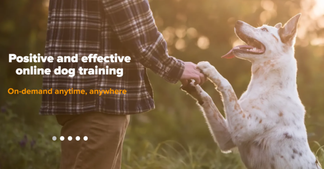 SpiritDog Online Training Banner