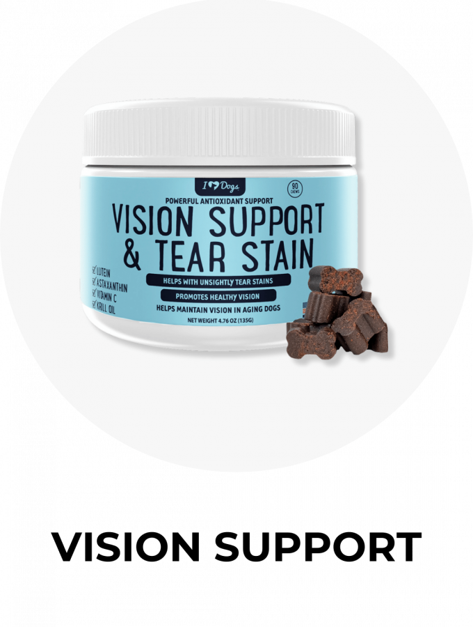 Vision Support Vision Support