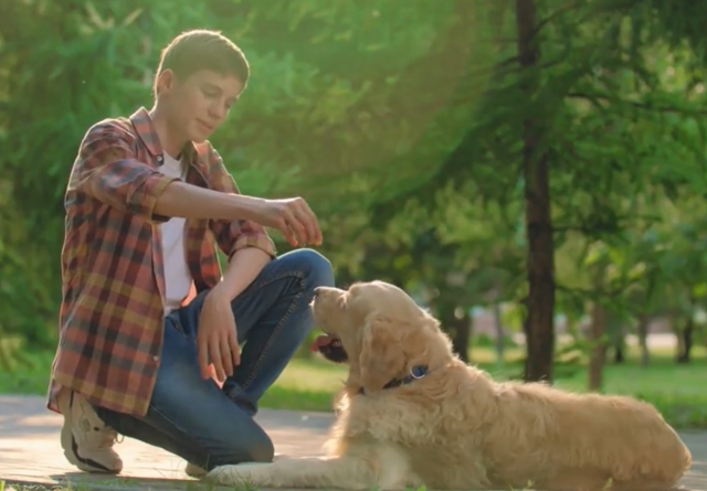 Young man training dog