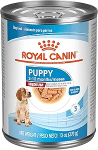 Royal Canin Size Health Nutrition Medium Puppy Thin Slices in Gravy Dog Food