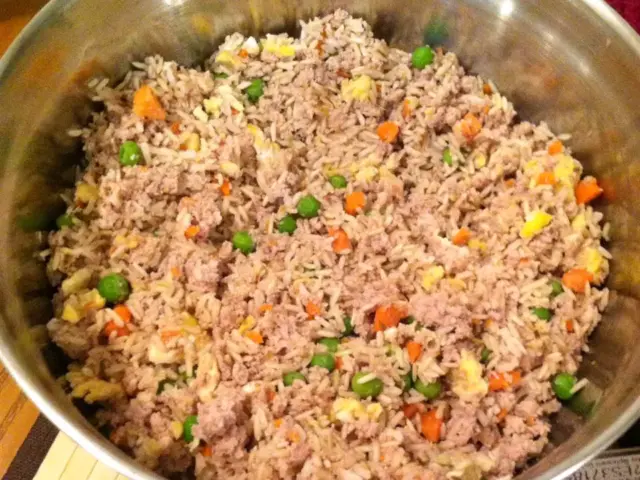 Homemade turkey dog food recipe