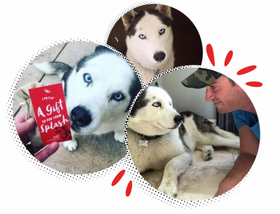 Splash-1-768x614 Splash-1-768x614